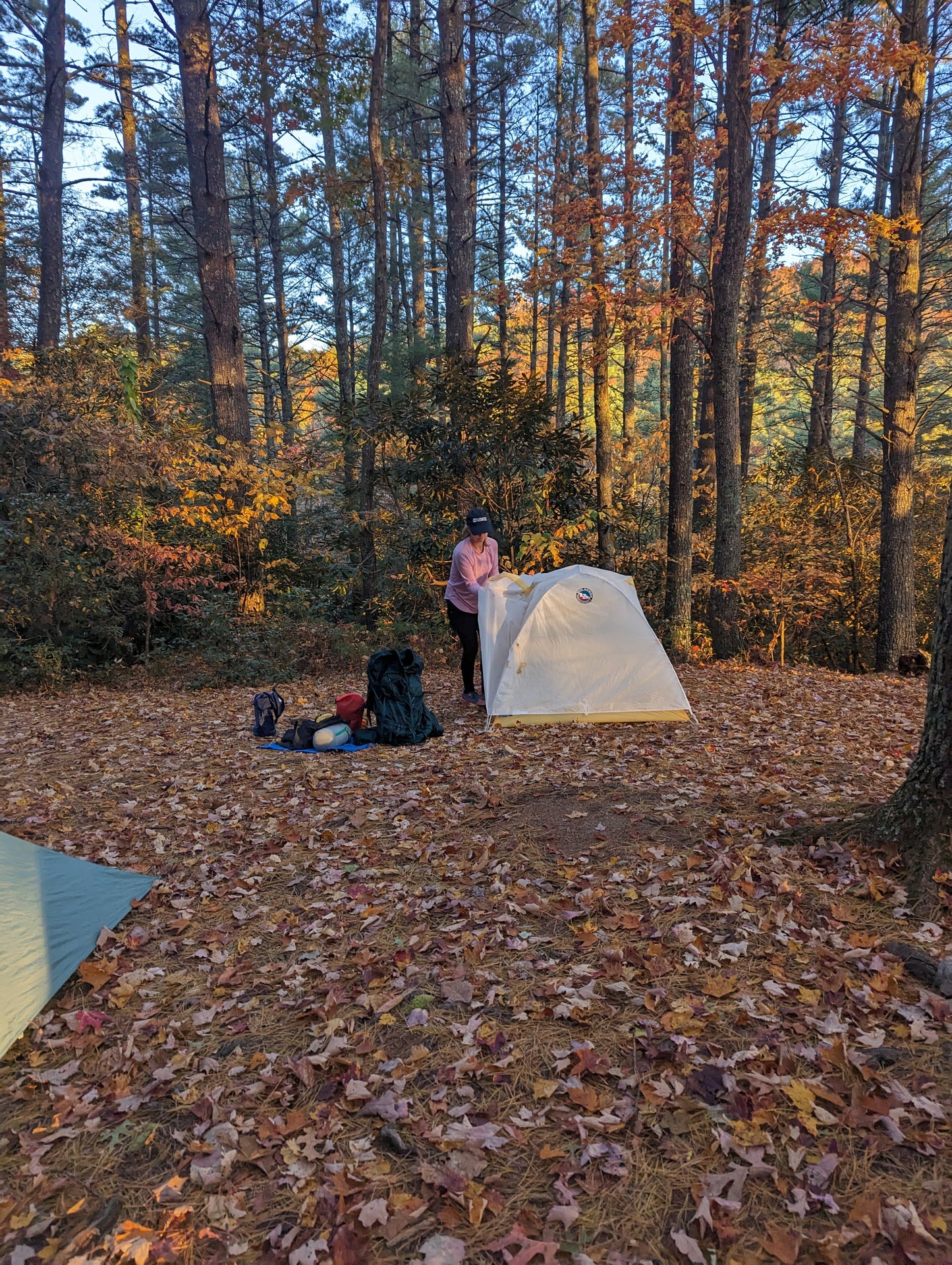 Women's AT Smoky Mountains Section Hike (2026)