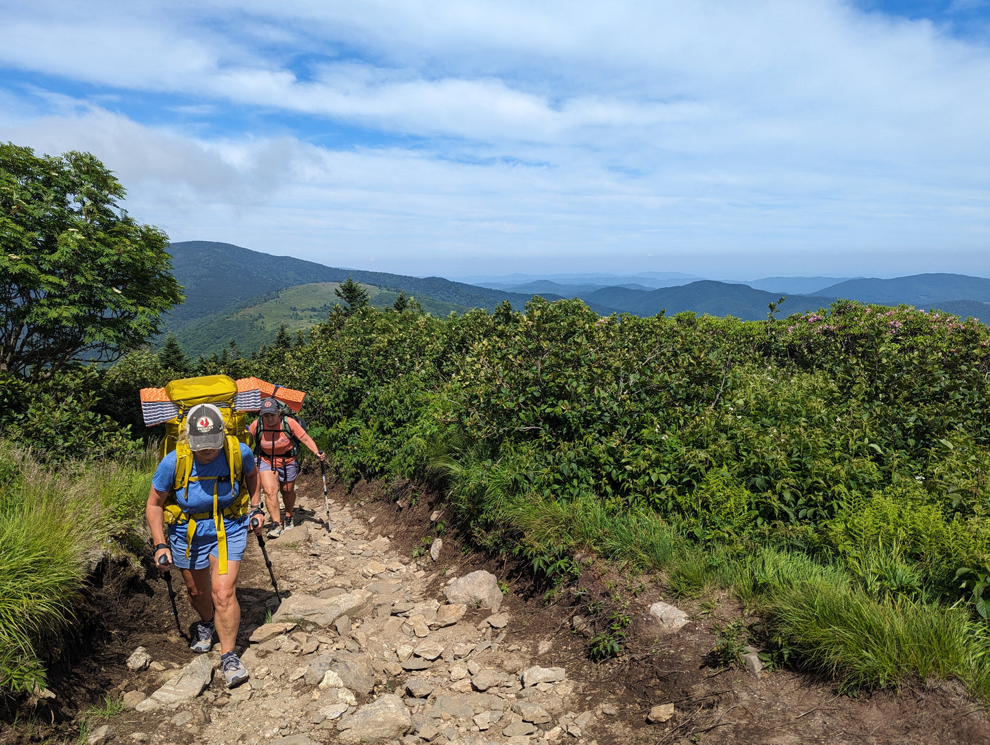 Women's Beginner Backpacking Trip- Grayson Highlands, VA (2026)
