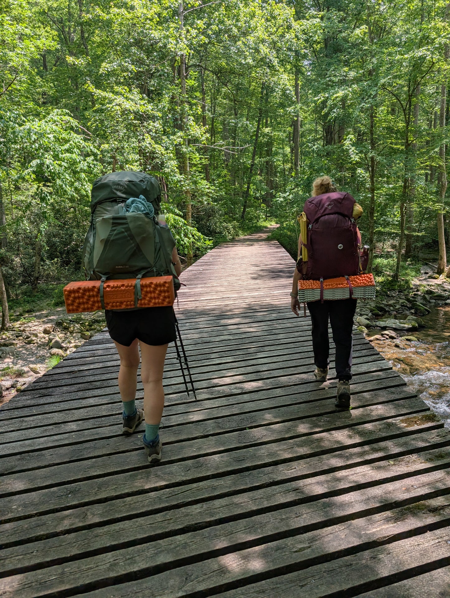 Great Smoky Mountains Synchronous Fireflies Women's Backpacking Trip (2026)