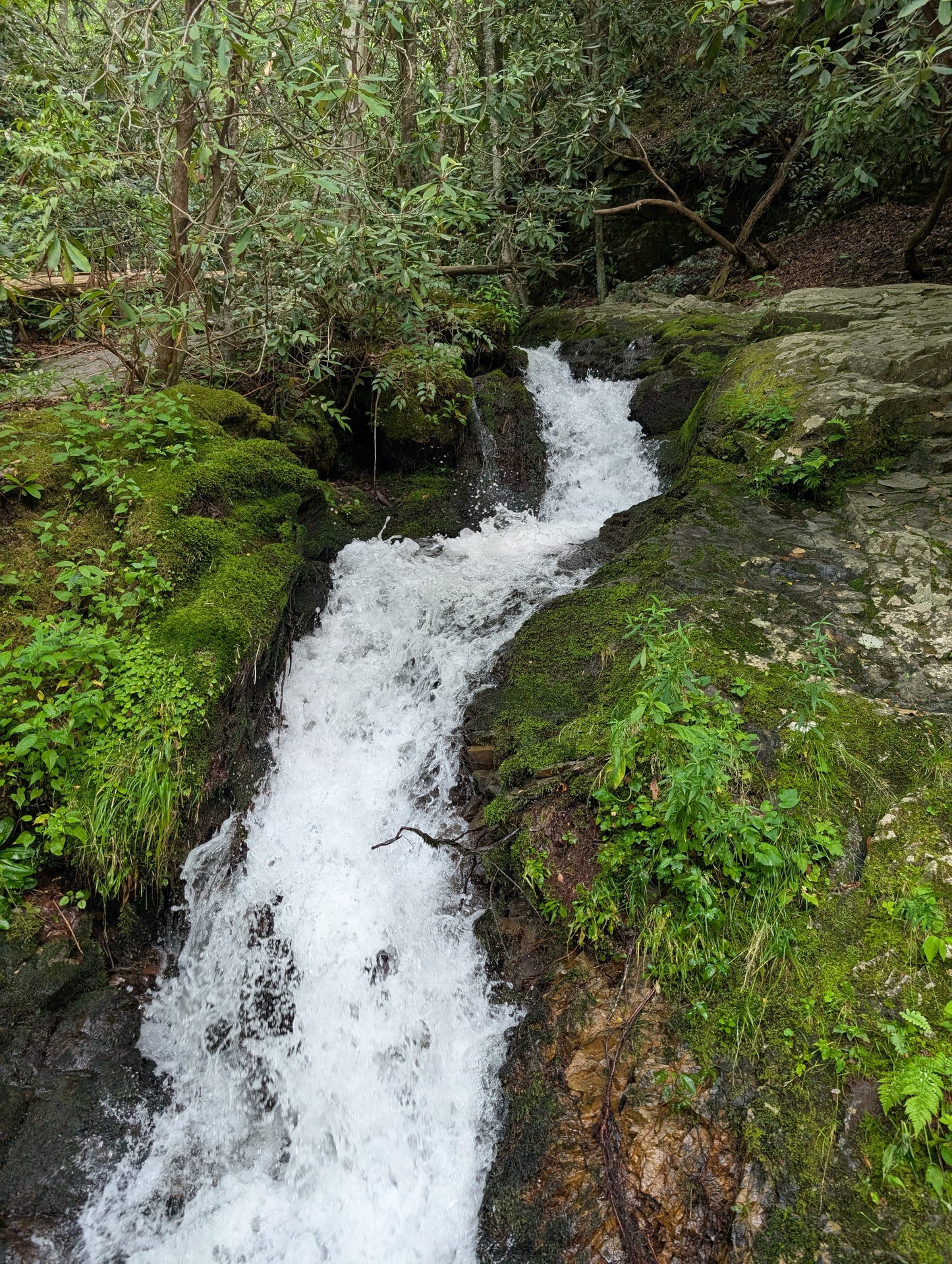 Women's Intro to Backpacking- Great Smoky Mountains National Park