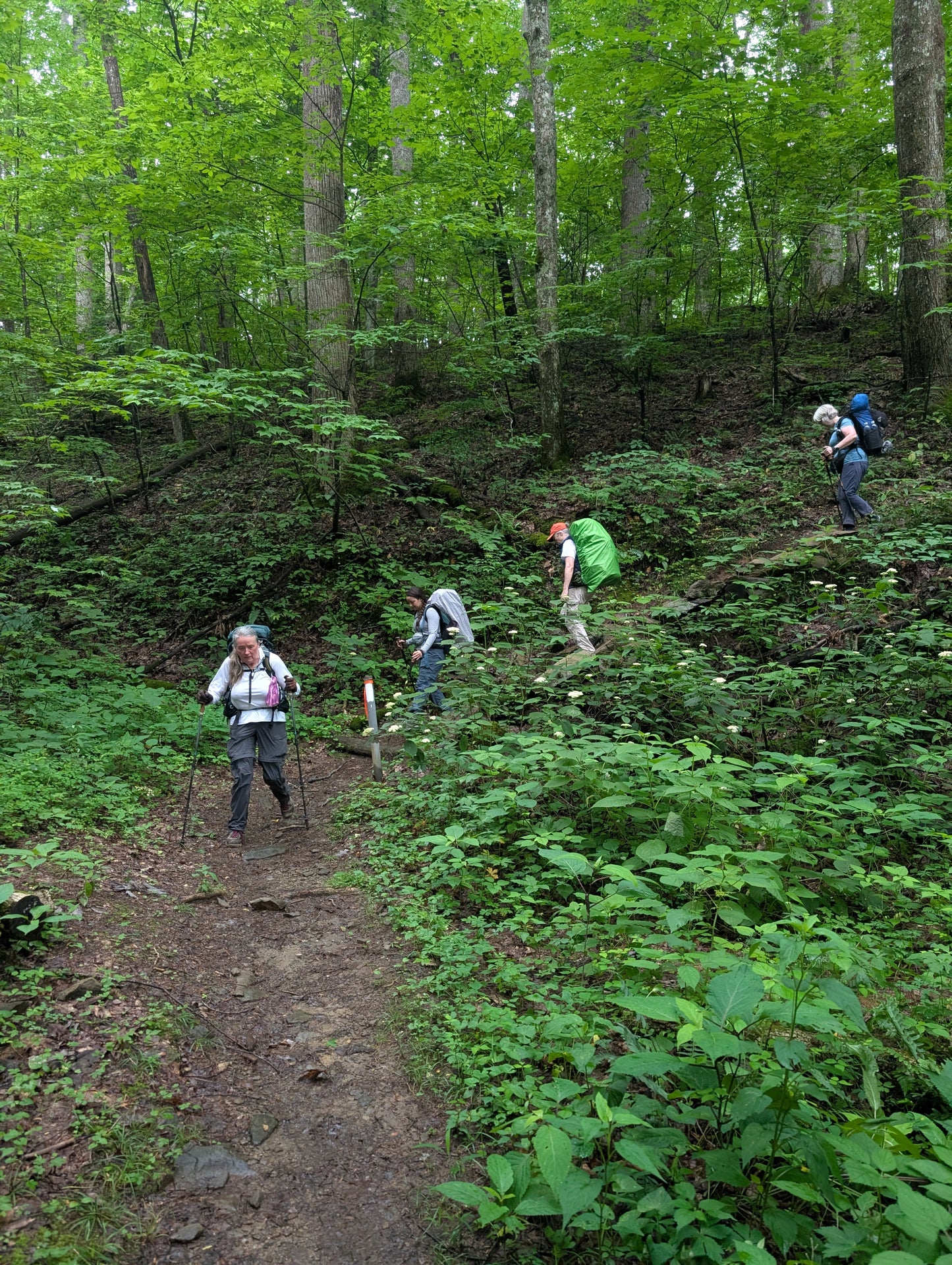 Women's Intro to Backpacking- Great Smoky Mountains National Park