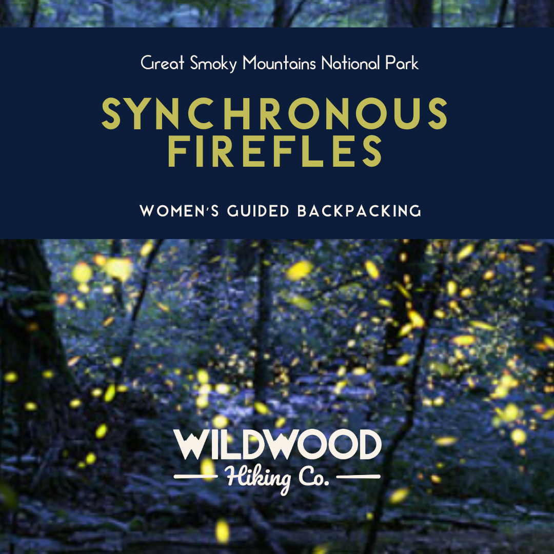 Great Smoky Mountains Synchronous Fireflies Women's Backpacking Trip (2026)
