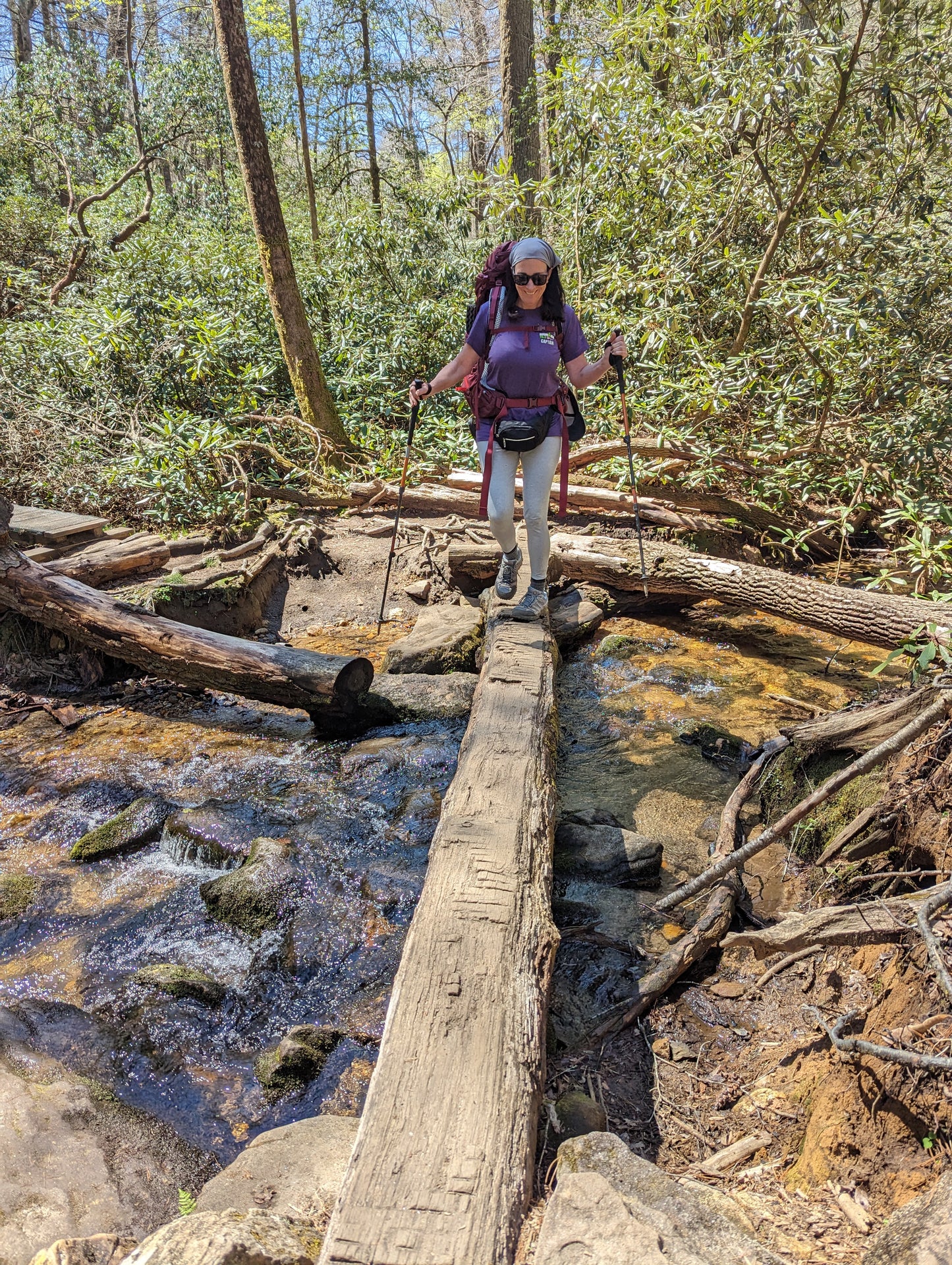 Women's Appalachian Trail Beginner Backpacking Trip- Max Patch, NC: 3 days / 2 nights (2024)