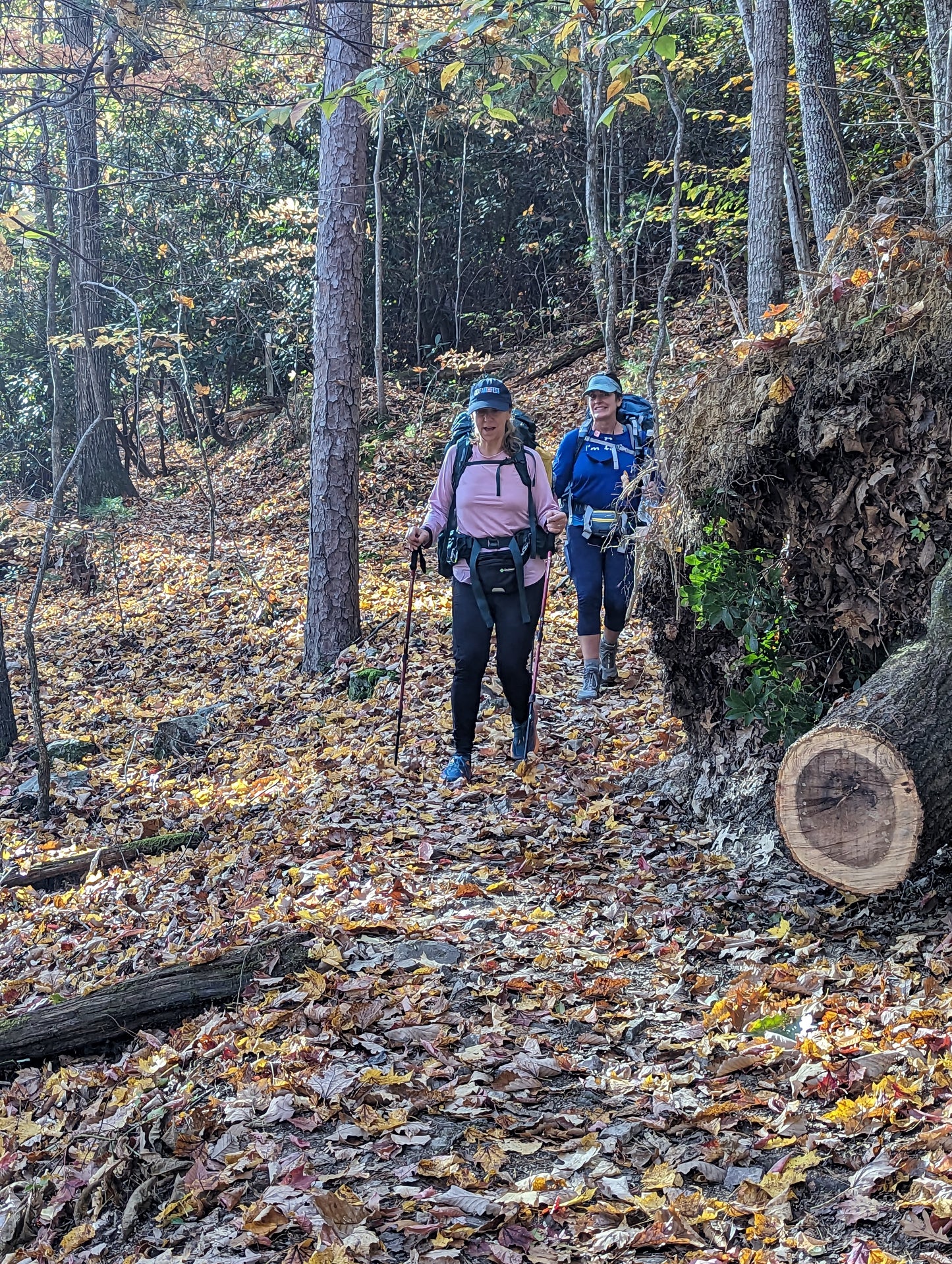 Women's Appalachian Trail Beginner Backpacking Trip- Roan Highlands, TN: 3 Days/2 Nights (2024)