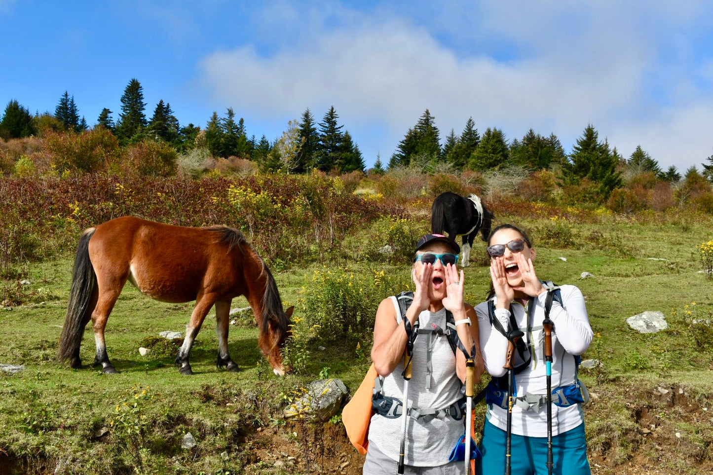 Women's Hiking Retreat - Damascus, VA (May 8-13, 2026)