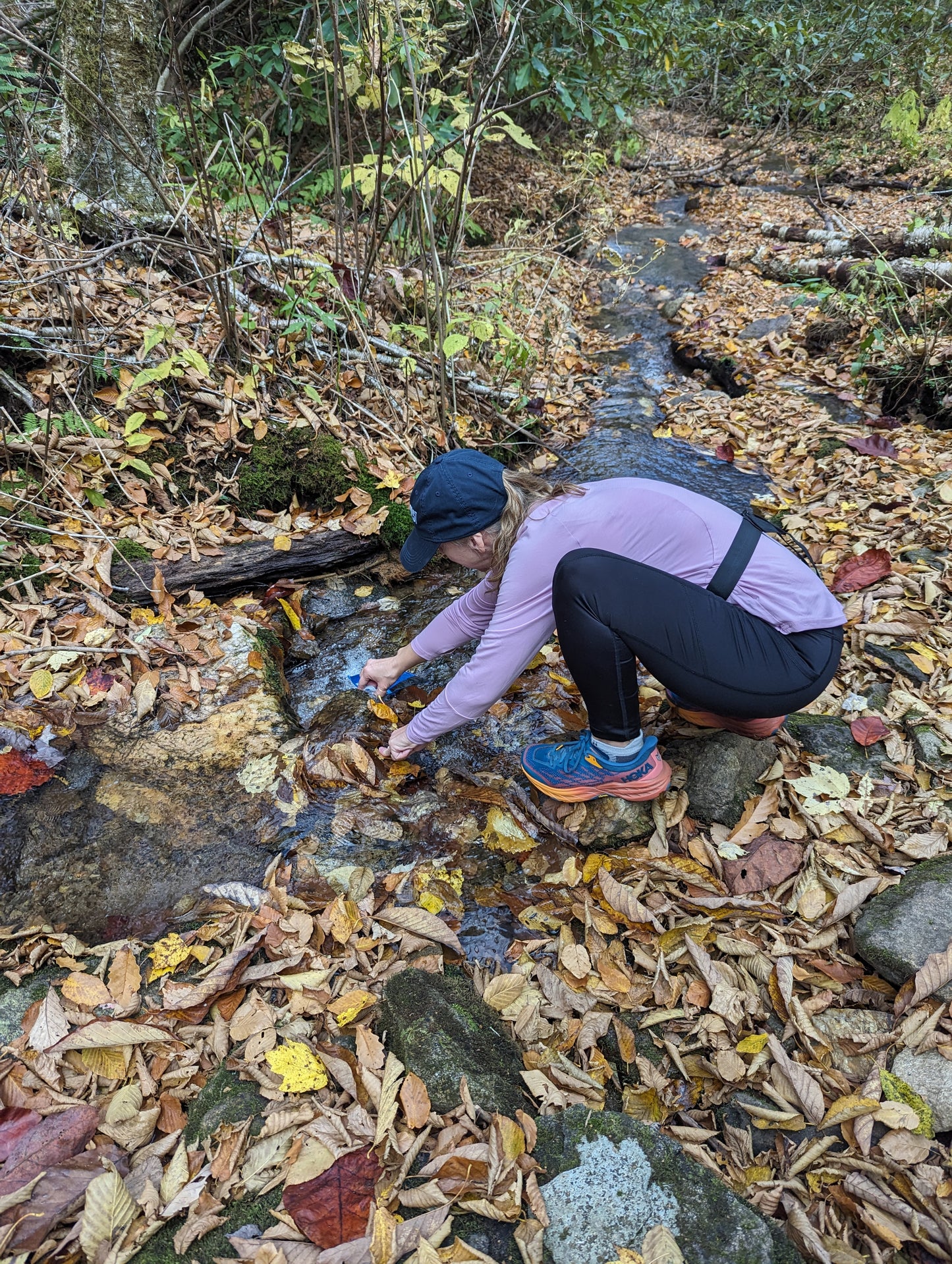 Women's Appalachian Trail Extended Backpacking Trip- Hot Springs, NC : 6 Days / 5 Nights (2025)