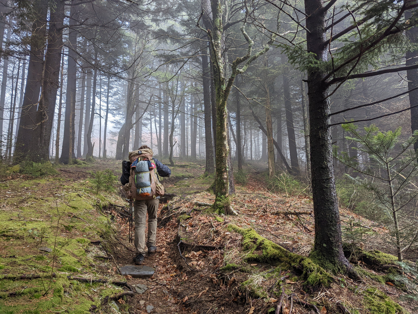 Appalachian Mountains Campsites With Walking Trails White Mountain