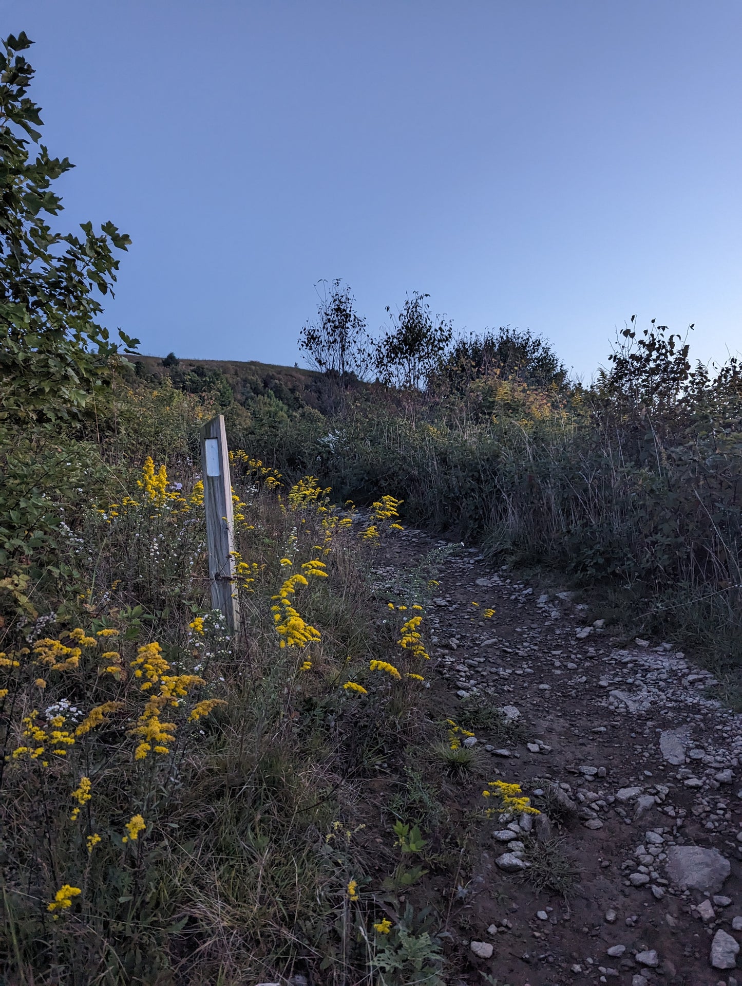Women's Appalachian Trail Extended Backpacking Trip- Hot Springs, NC : 6 Days / 5 Nights (2025)